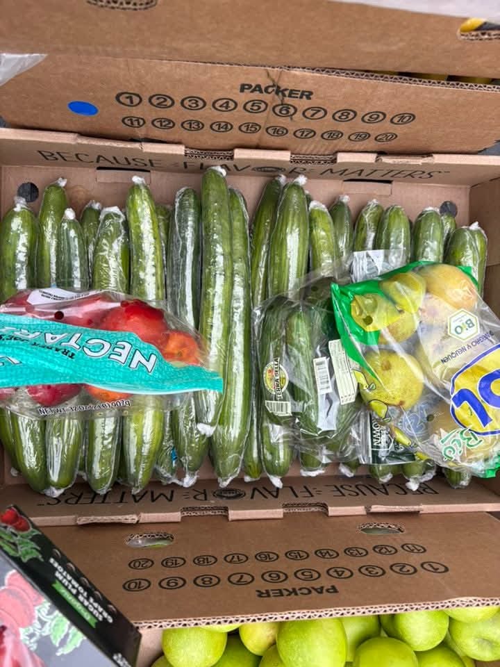 WhatsApp Image 2025-07-29 at 08.21.38_448f329a